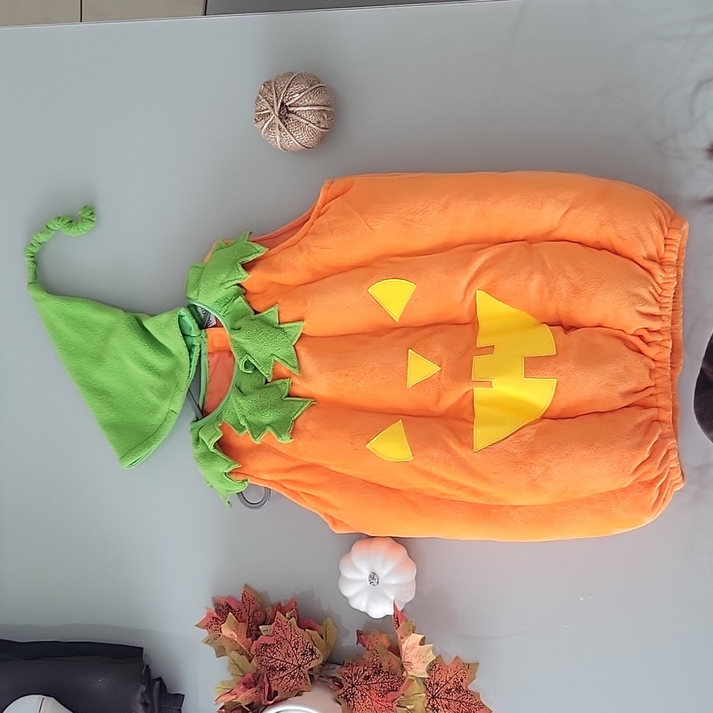 Pumpkin Custome